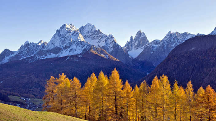 Verschneite Berge im Hintergrund, vorne herbstlich gefärbter Wald.