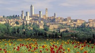 Blick durch ein rotes Mohnfeld auf die Silhouette der Stadt San Gimignano