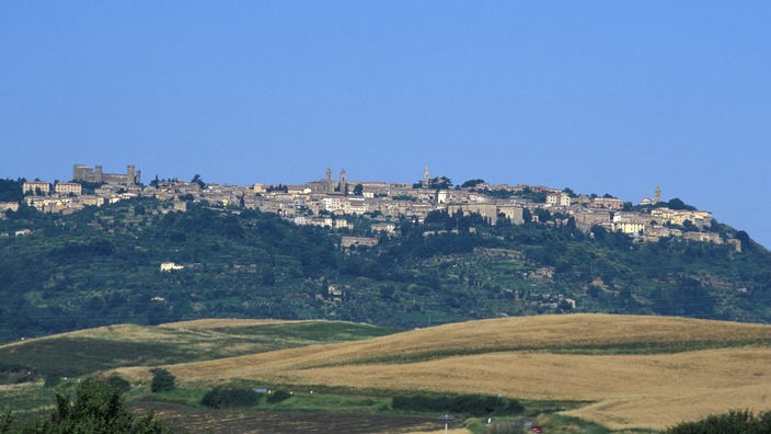 Blick über Felder auf die auf der Höhe eines Kammes liegenden Häuser der Stadt Montalcino