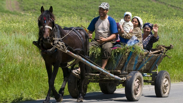 Eine lachende Roma-Familie fährt auf einer Pferdekutsche entlang einer Wiese.
