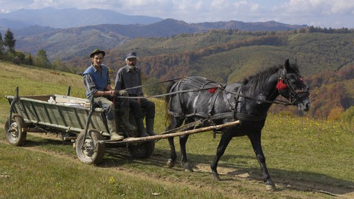 Zwei rumänische Bauern mit ihrem Pferdewagen auf einer Weide in Siebenbürgen.
