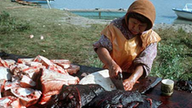 Inuit-Frau zerteilt mit dem Ulu, einem traditionellen Messer, das Walfleisch, den Speck (Maktaaq) und die Flossen.