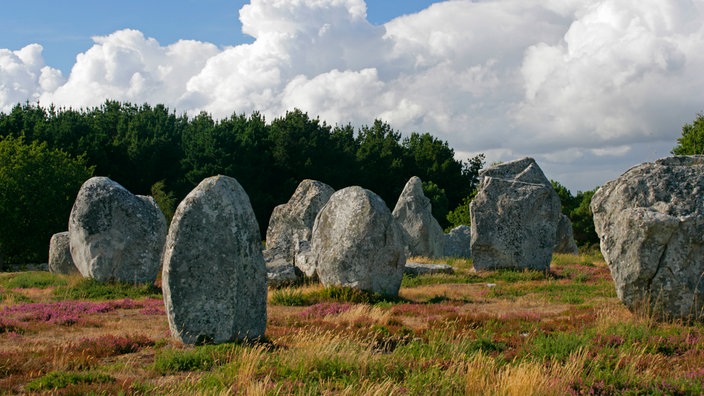 Hinkelsteine in Carnac | Bildquelle: Interfoto/The Travel Library/Tony Howell Hinkelsteine in Carnac
