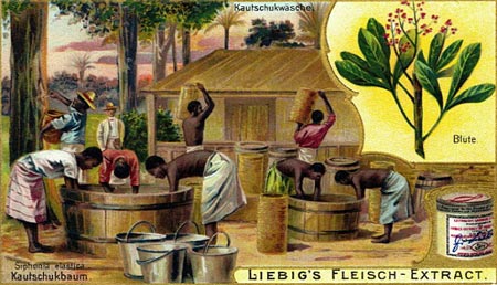 Historisches Bild von schwarzen Sklaven, die Kautschuk am Baum zapfen und in ihrem Dorf vor den Augen eines weißen Aufsehers verarbeiten.