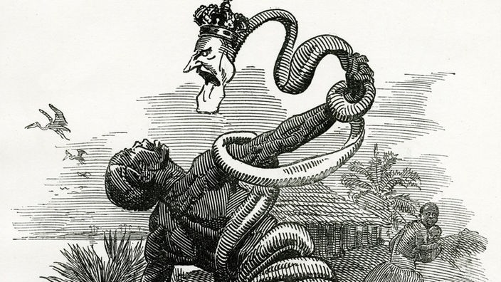 Ein Mann wird von einer Schlange angegriffen