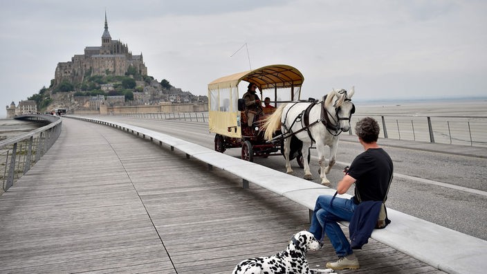Pferd mit Kutsche und Besucher mit Hund auf einer Brücke vor dem Mont St. Michel