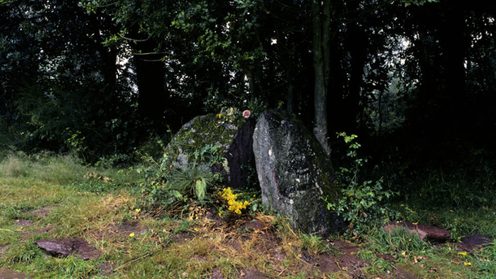 Ein kleines, vermoostes Hügelgrab, das mit Blumen geschmückt ist.