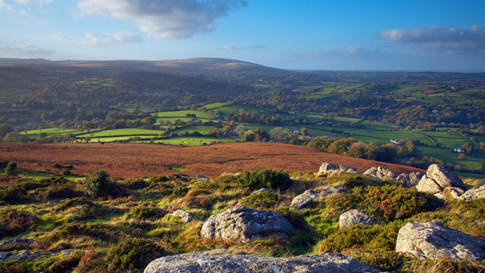 Das Bild zeigt die typisch karge, grasbewachsene Hügellandschaft des Dartmoors. Auf einem Hügel stehen mehrere Ponys.