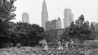 Schwarzweißaufnahme: Kinder arbeiten in einem Garten, im Hintergrund die Skyline von New York mit den Chrysler Building.