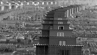 Schwarzweißaufnahme: Ordentlich in einer Linie befinden sich die Gartenhäuschen die auf den Parzellen einer Kleingartenkolonie in Frankfurt am Main. (1963)