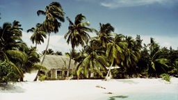 Blick auf Kurumba, die erste Touristen-Insel im Male-Atoll.