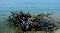 Verschmutzung im Tropischen Paradies Thuludshoo Island, Malediven.