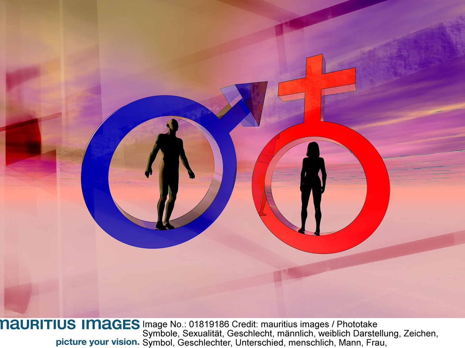 Hormone Geschlechtshormone Hormone Natur Planet Wissen