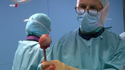 Screenshot aus dem Film "Transplantation von Knochenteilen"