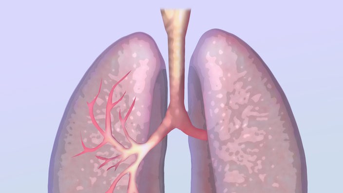 Darstellung einer Lunge