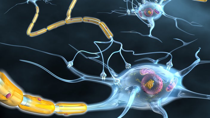 Grafik: Aktive Nervenzellen mit Axon, Myelin, Dendriten und Synapsen