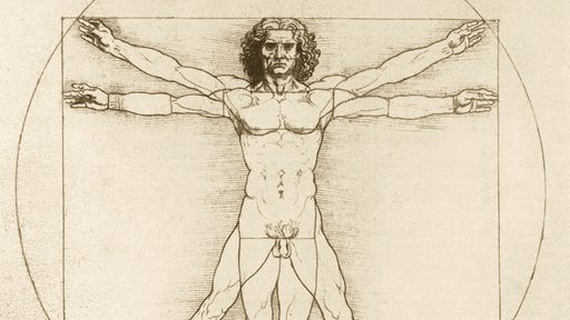 Leonardo da Vincis weltbekanntes Proportionsschema nach Vitruv.