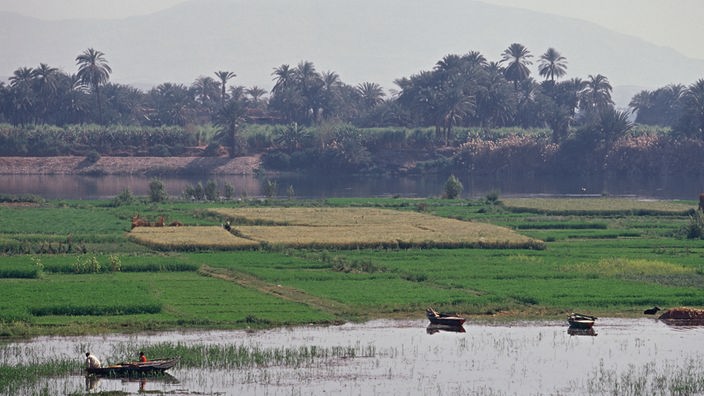 Ohne künstliche Bewässerung gäbe es in Ägypten keine Landwirtschaft