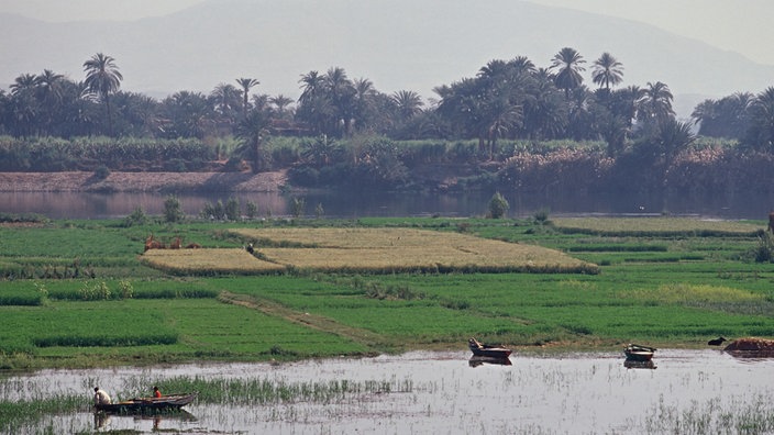 Nil: Nilometer - Nil - Flüsse und Seen - Natur - Planet Wissen