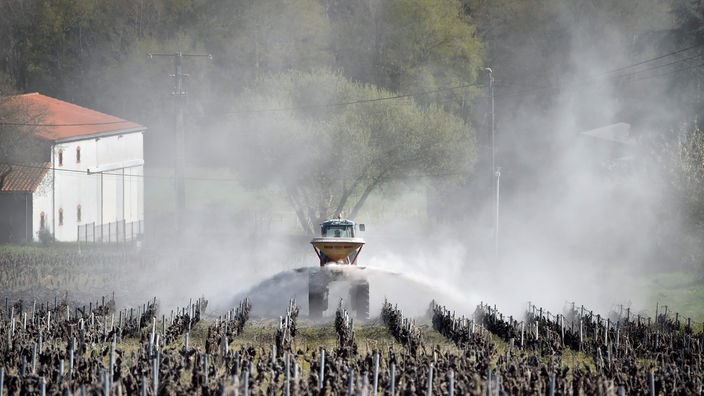 Ein Fahrzeug sprüht Chemikalien in einem Weinberg an der Loire