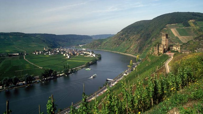 Die Mosel windet sich durch ihr Flussbett. Auf der linken Seite erkennt man den Ort Breitstein. Auf der rechten Seite Weinhügel und die Ruinen der Burg Metternich. | Bildquelle: imago/mm images/Waldkirch Die Mosel windet sich durch ihr Flussbett. Auf der linken Seite erkennt man den Ort Breitstein. Auf der rechten Seite Weinhügel und die Ruinen der Burg Metternich.