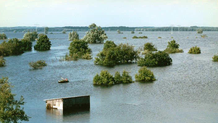 Überflutete Oderlandschaft