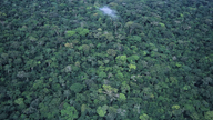 Luftaufnahme des Regenwaldes im Kongo.