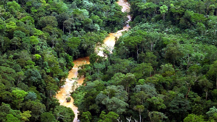 Luftaufnahme des Kongos, der durch Regenwald fließt