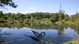 Natutschutzgebiet Rur in Jülich