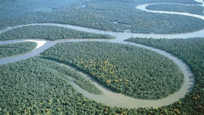 Luftaufnahme des Amazonas mit Regenwald in Peru.