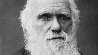 Das Schwarzweiß-Bild zeigt den britischen Naturwissenschaftler Charles Darwin als alten Mann mit langem weißem Bart.