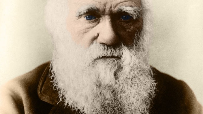 Portrait von Charles Darwin.