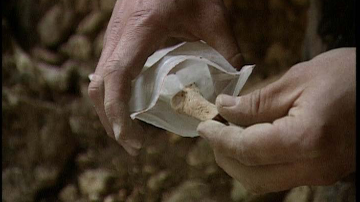 Sorgfältig wird der Knochen eines Höhlenbären in eine Plastiktüte verpackt | Bildquelle: WDR Freeze Sorgfältig wird der Knochen eines Höhlenbären in eine Plastiktüte verpackt
