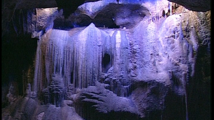 Lila angestrahlte Tropfsteine in der Orgelgrotte | Bildquelle: WDR Freeze Lila angestrahlte Tropfsteine in der Orgelgrotte