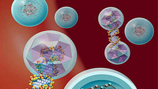 Grafische Darstellung verschiedener Nanoteilchen, wie sie im Blutstrom eingesetzt werden könnten.