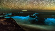Phytoplankton bringt das Meer an der kalifornischen Küste zum Leuchten