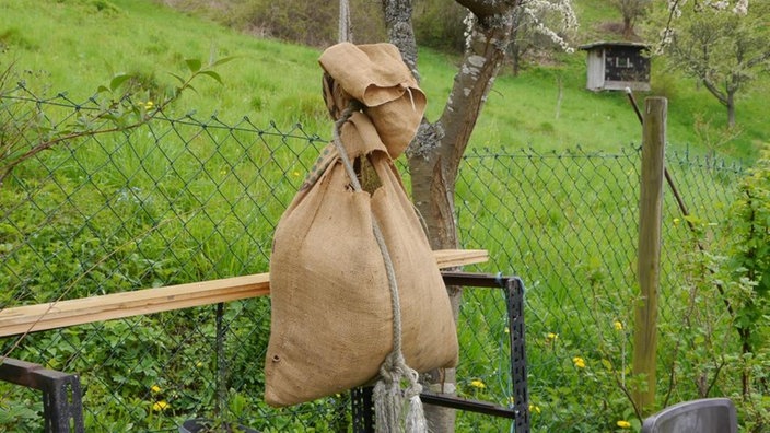 Kartoffelsack in Gausbach | Bildquelle: LUBW/ Sandra Dezenter Kartoffelsack in Gausbach