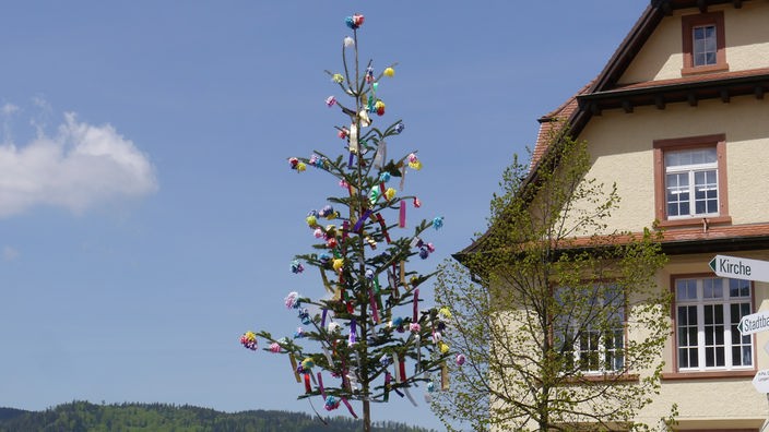 Ein bunt geschmückter Maibaum vor einem Fachwerkhaus.