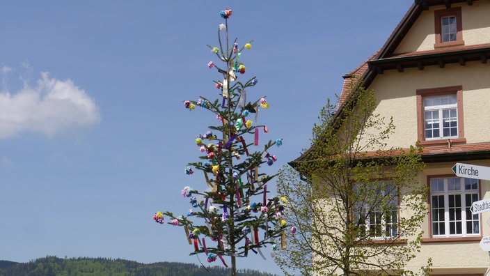 Ein bunt geschmückter Maibaum vor einem Fachwerkhaus. | Bildquelle: LUBW/Sandra Dezenter Ein bunt geschmückter Maibaum vor einem Fachwerkhaus.