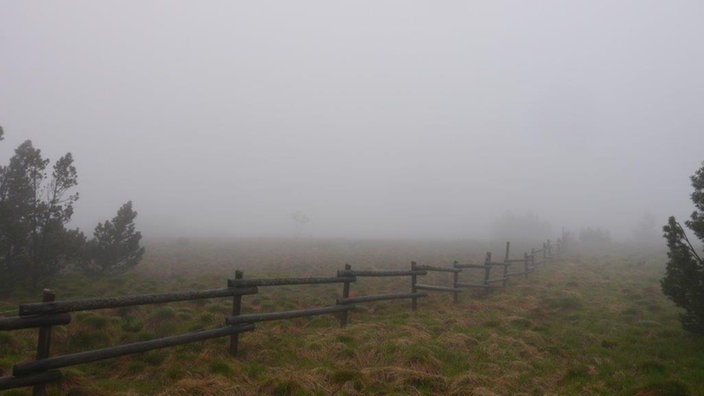 Landschaft im Nebel: Eine Wiese mit viel braunem alten Gras durch die ein alter Holzzaun führt. | Bildquelle: LUBW/Harald Gebhardt Landschaft im Nebel: Eine Wiese mit viel braunem alten Gras durch die ein alter Holzzaun führt.