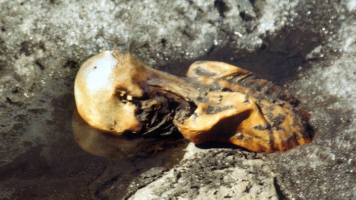 Hinterkopf und Rücken des Ötzi ragen aus dem geschmolzenen Eis.
