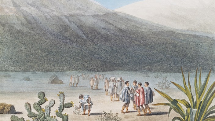 Gemälde: Alexander von Humboldt sammelt während seiner Expedition zum Chimborazo Blumen.