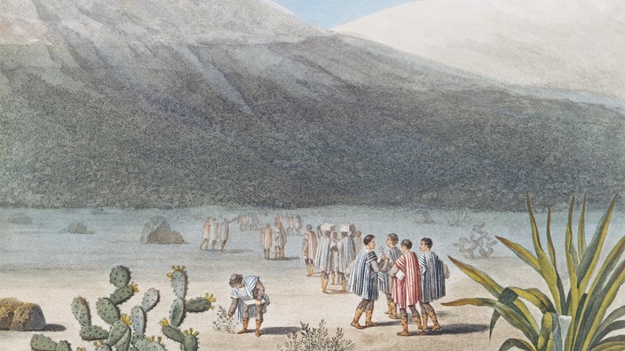 Gemälde: Alexander von Humboldt sammelt während seiner Expedition zum Chimborazo Blumen. | Bildquelle: Mauritius Gemälde: Alexander von Humboldt sammelt während seiner Expedition zum Chimborazo Blumen.