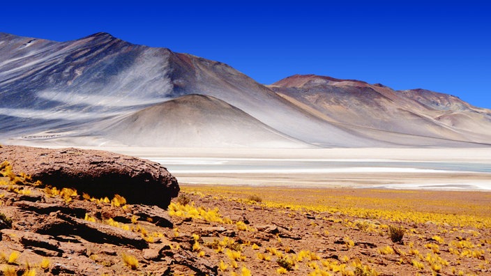 Wüstenlandschaft in der Atacama-Wüste. | Bildquelle: picture-alliance/united-archiv Wüstenlandschaft in der Atacama-Wüste.