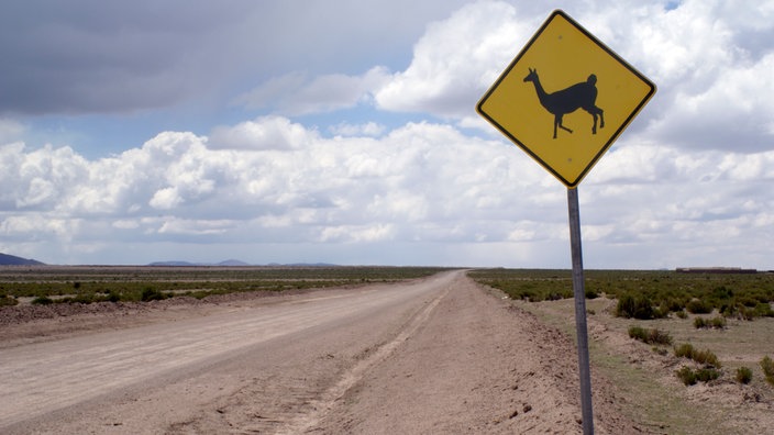 Ein Lama-Warnschild an einer Schotterpiste. | Bildquelle: Mauritius Ein Lama-Warnschild an einer Schotterpiste.