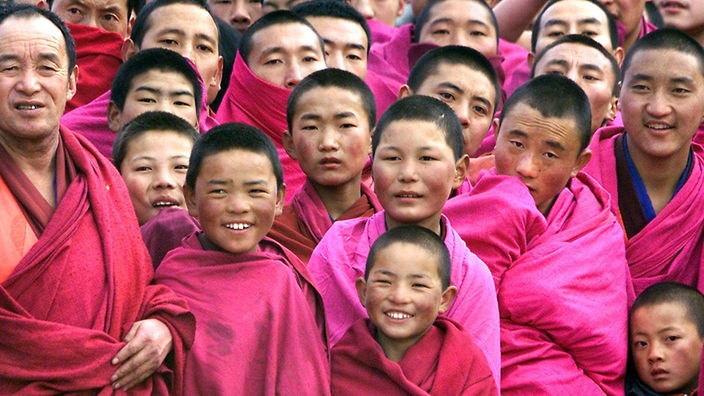Viele junge und alte buddhistische Mönche in den traditionellen roten Kutten.