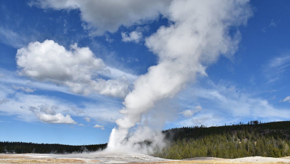 Der Geysir 'Old Faithful' mit hoher Fontäne, die vom Wind leicht abgetrieben wird (Yellowstone Nationalpark in Wyoming, USA).