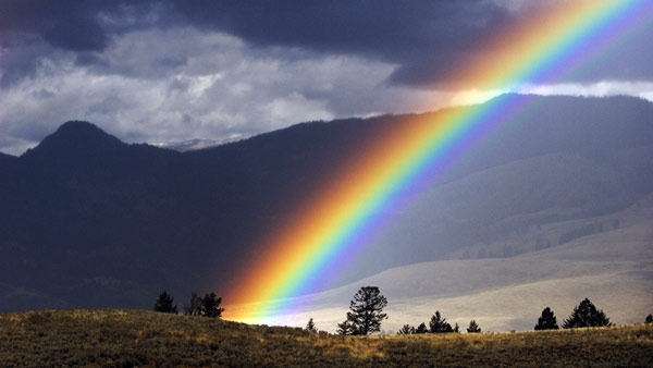 Regenbogen im Yellowstone Nationalpark.