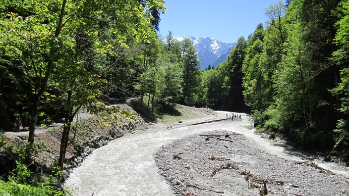 Die rechts und links bewaldete Partnachklamm mit dem Blick auf die Berge im Hintergrund | Bildquelle: Interfoto/MCA Die rechts und links bewaldete Partnachklamm mit dem Blick auf die Berge im Hintergrund