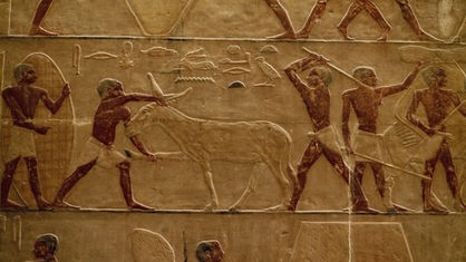 Ausschnitt aus einem Kalkstein-Wandrelief aus dem Grab des Pyramidenaufsehers Ti (um 2400 v.Chr.) Es zeigt Männer, die einen Esel schlagen.